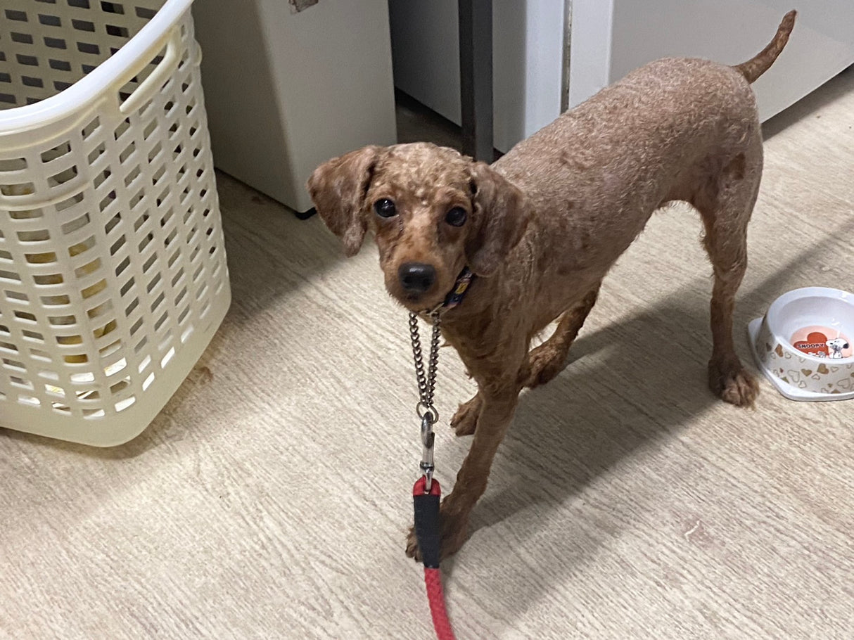 育子ちゃん(卒業)