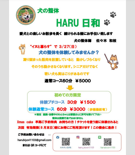 ３月２７日（土）犬の整体体験会～HARU日和～