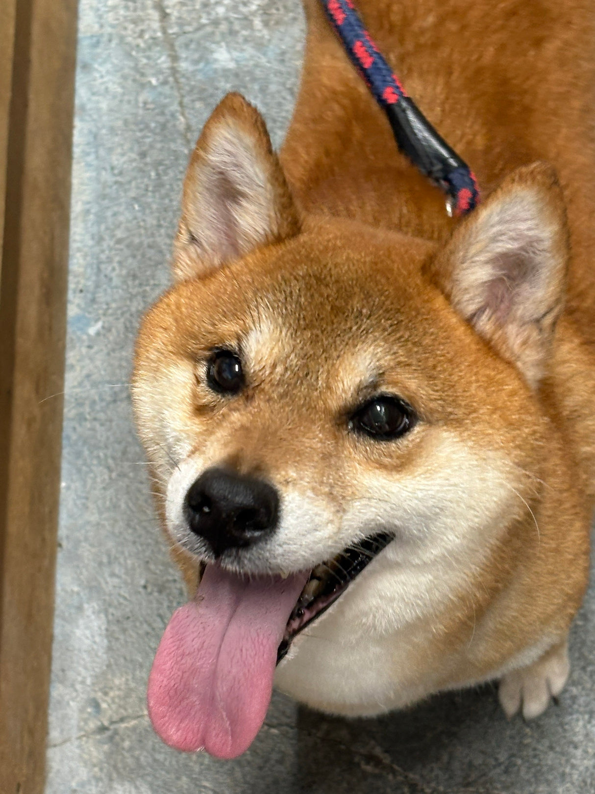 はじめ