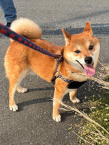 はじめ