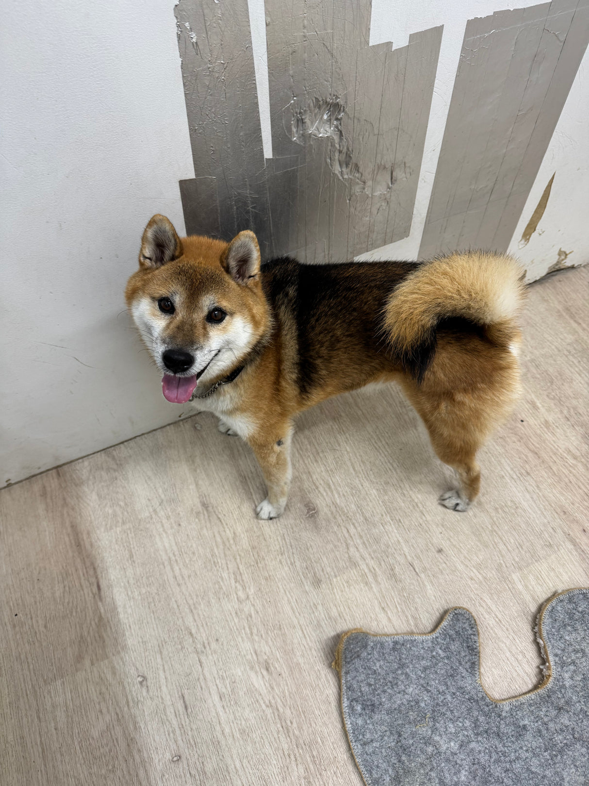 サブロー（卒業）