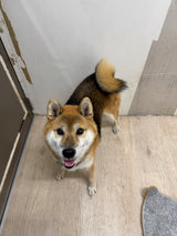 サブロー（卒業）