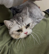 アジくん（卒業）